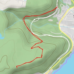 thumbnail for AI - Forest Path - Wollongong City Council