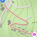 thumbnail for AI - Cathedral Grove