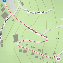 thumbnail for AI - Cathedral Grove