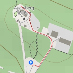 thumbnail for AI - Naturdenkmal - Auersberg-Buche - Eibenstock