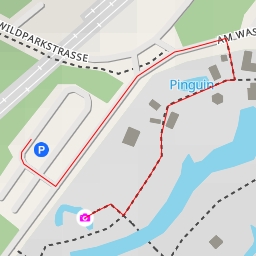 thumbnail for AI - Ara, Goldaguti, Weißbüscheläffchen, Rotbauchtamarin