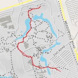 thumbnail for AI - Dhole - Toronto