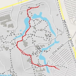 thumbnail for AI - Dhole - Toronto