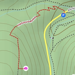 thumbnail for AI - Preußischer Saalstein