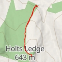 thumbnail for AI - Holts Ledge