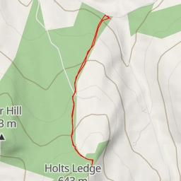 thumbnail for AI - Holts Ledge