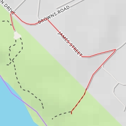 thumbnail for AI - Lizard head - Shire of Mornington Peninsula