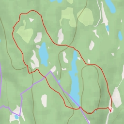 thumbnail for AI - Oslo