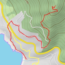 thumbnail for AI - Bosques de Zapallar