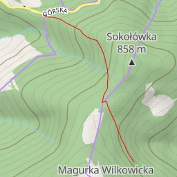 thumbnail for AI - Wiraż - Wilkowice