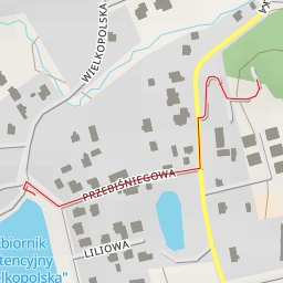 thumbnail for AI - Widok IX. "Mieczysław"