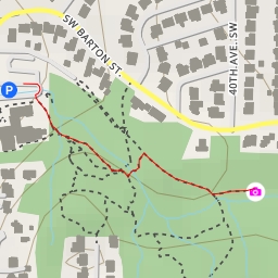 thumbnail for AI - Fauntleroy Creek