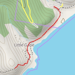 thumbnail for AI - Thelma Head