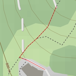 thumbnail for AI - Dwór Skibówki - Ustroń