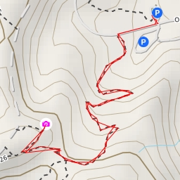 thumbnail for AI - Trail 33