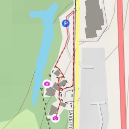 thumbnail for AI - Forest Canopy Overlook