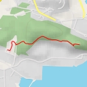 thumbnail for AI - Ringknuten