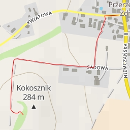 thumbnail for AI - g. Kokosznik