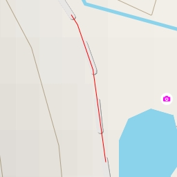 thumbnail for AI - Bird-watching