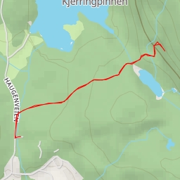 thumbnail for AI - Øyervannsbonn - Lommedalen