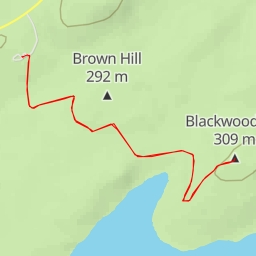 thumbnail for AI - Blackwood Hill