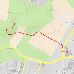 thumbnail for AI - העץ הורוד - נס ציונה