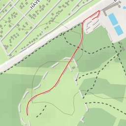 thumbnail for AI - 1000 års Skoven