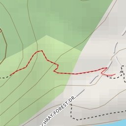 thumbnail for AI - Zone