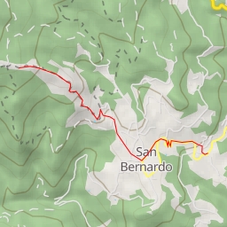 thumbnail for AI - Puma - San Bernardo