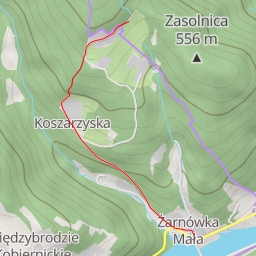 thumbnail for AI - Zasolnica - Międzybrodzie Bialskie