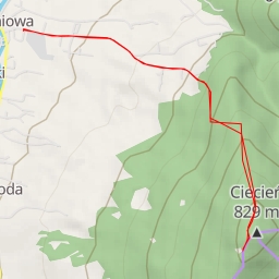 thumbnail for AI - Ciecień