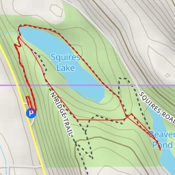 thumbnail for AI - Beaver Pond