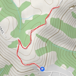 thumbnail for AI - Aquinas Trail