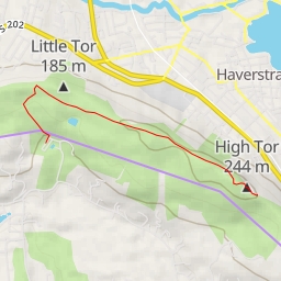 thumbnail for AI - (unmarked)