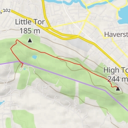 thumbnail for AI - High Tor