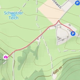 thumbnail for AI - Schiller-Buche