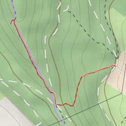 thumbnail for AI - Elefantenbäuche