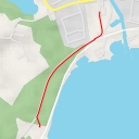 thumbnail for AI - Krzyż św. Brunona