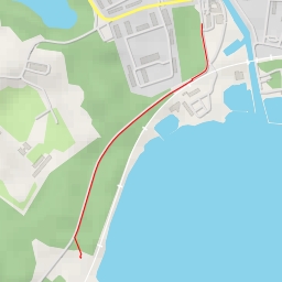 thumbnail for AI - Krzyż św. Brunona