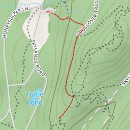 thumbnail for AI - Warm Puppy Rock