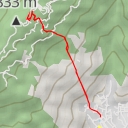 thumbnail for AI - Langur Way Canopy Walk