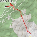 thumbnail for AI - Langur Way Canopy Walk