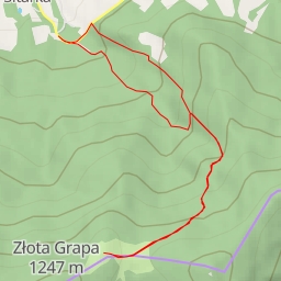 thumbnail for AI - Kocia Łapa