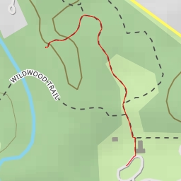 thumbnail for AI - WildWood Trail