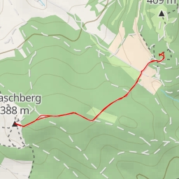 thumbnail for AI - Waschberg