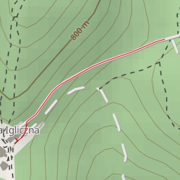 thumbnail for AI - Schronisko "Na Iglicznej"