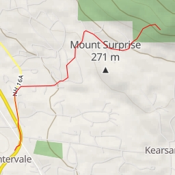 thumbnail for AI - Merriman Forest - Bartlett