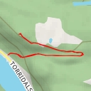 thumbnail for AI - Oddersjaa