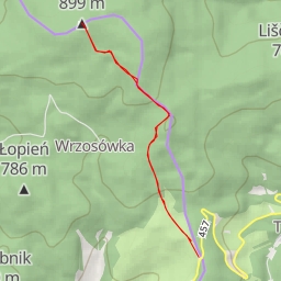 thumbnail for AI - Javorník