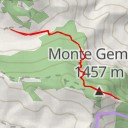 thumbnail for AI - Monte Gemma